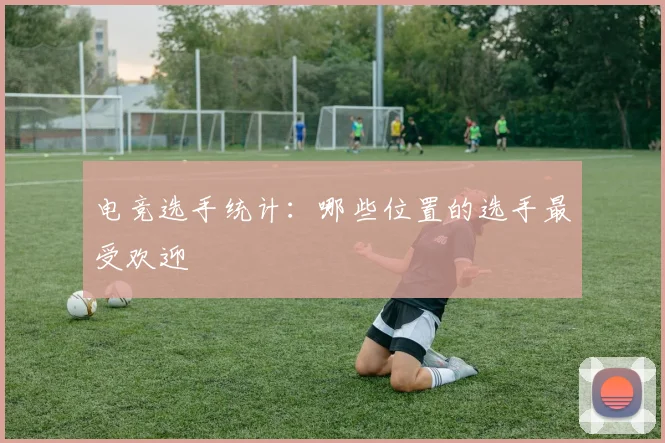 电竞选手统计:哪些位置的选手最受欢迎