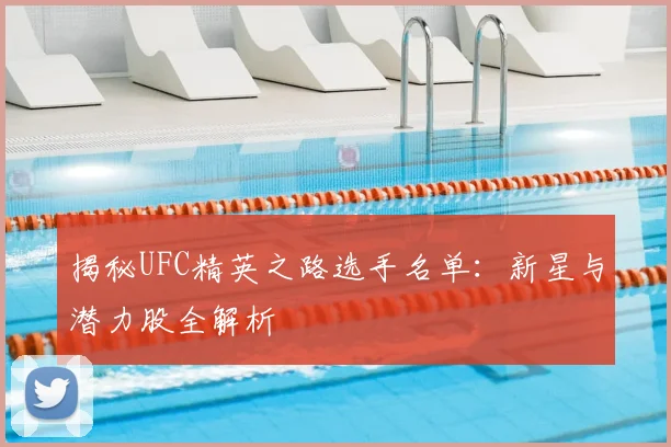 揭秘UFC精英之路选手名单:新星与潜力股全解析