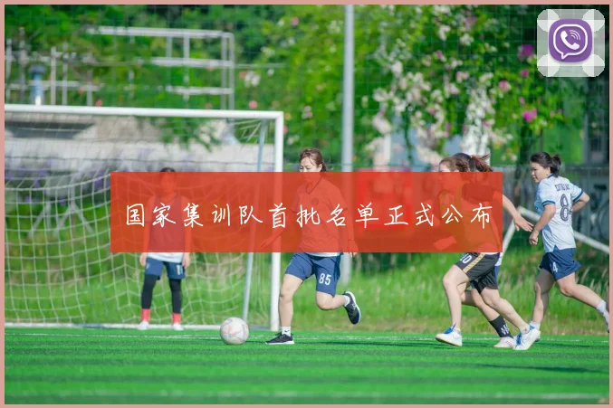 国家集训队首批名单正式公布