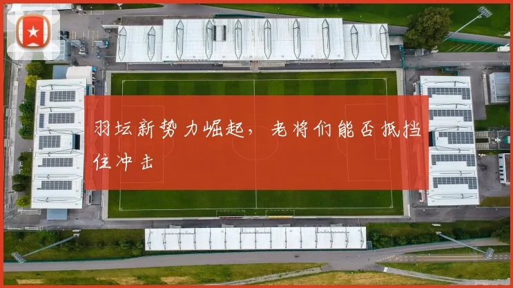羽坛新势力崛起,老将们能否抵挡住冲击