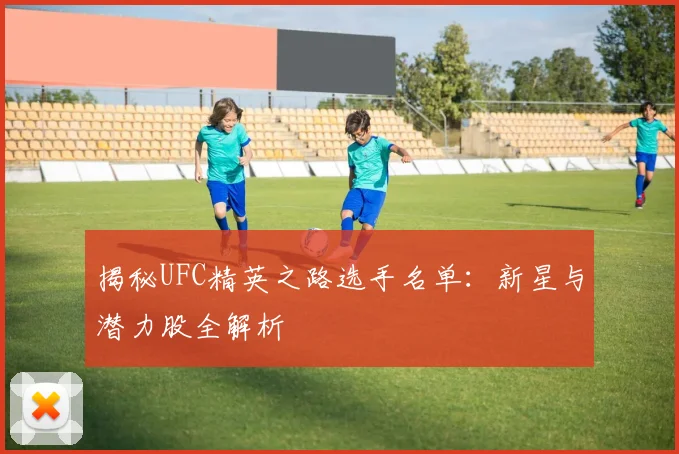 揭秘UFC精英之路选手名单：新星与潜力股全解析
