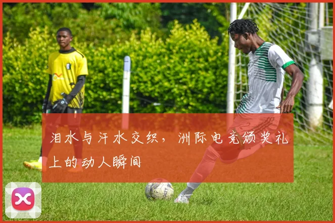 泪水与汗水交织，洲际电竞颁奖礼上的动人瞬间