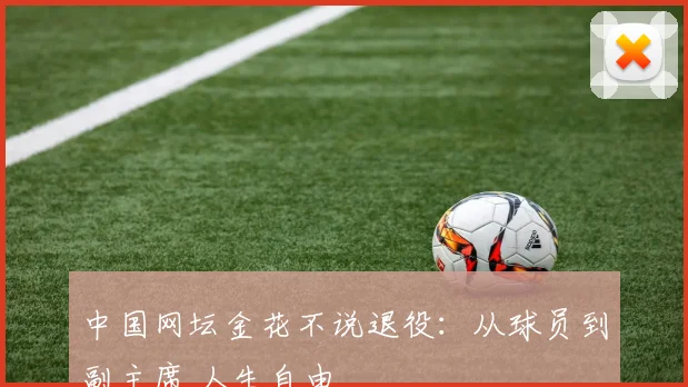 中国网坛金花不说退役：从球员到副主席 人生自由