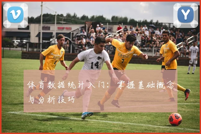 体育数据统计入门：掌握基础概念与分析技巧